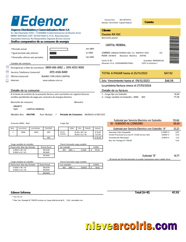 Argentina Edenor easy to fill business utility bill format